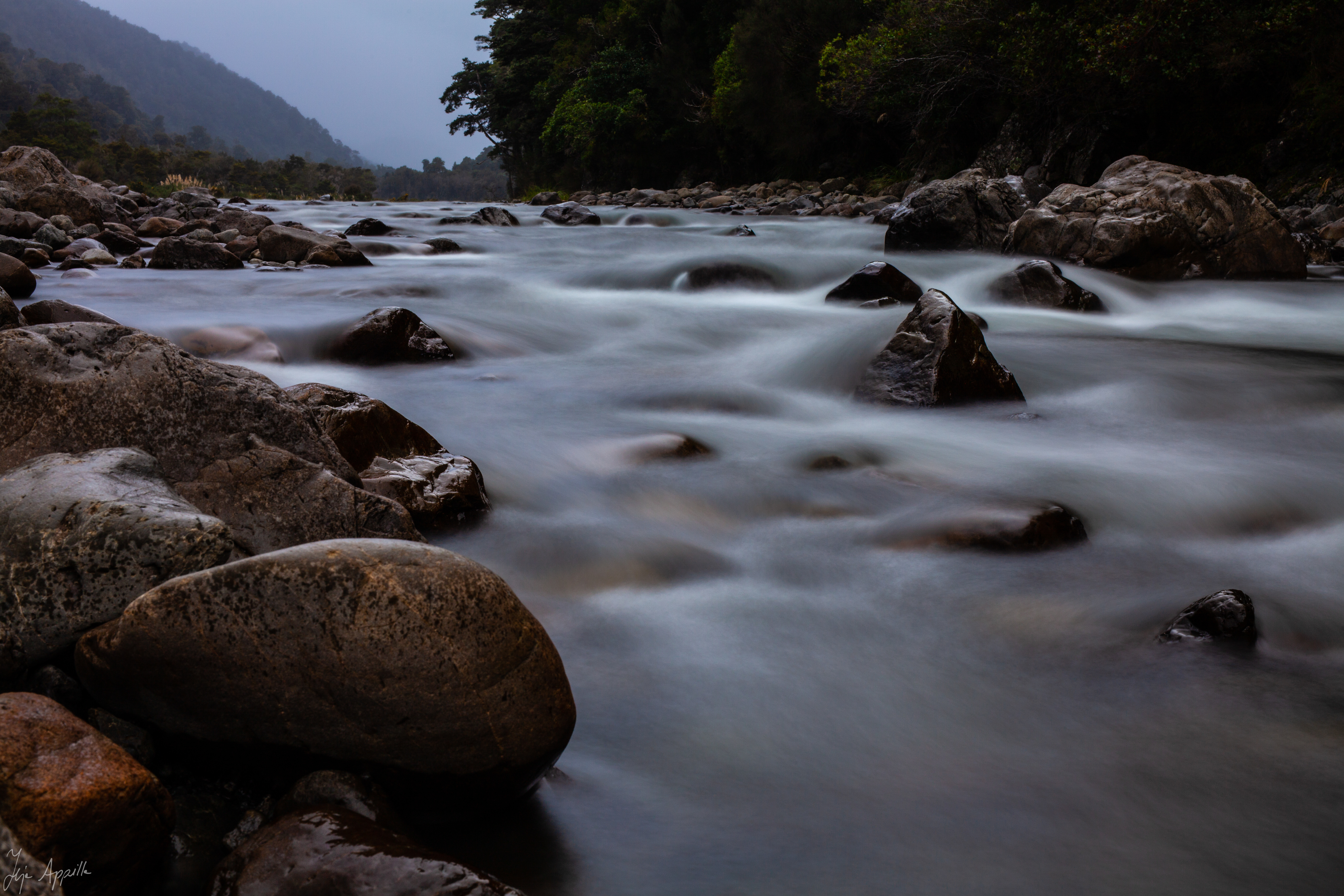 Tararua Forest Park (Teja Appilla)